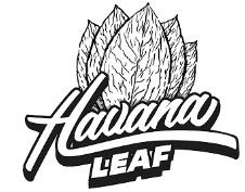 HAVANA LEAF logo