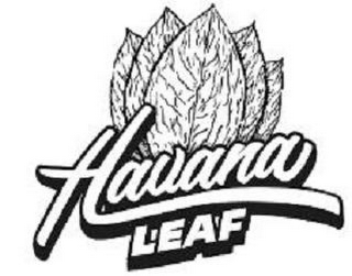 HAVANA LEAF logo
