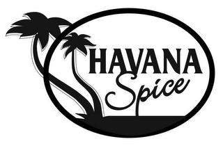 HAVANA SPICE logo