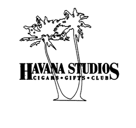 HAVANA STUDIOS CIGAR . GIFTS . CLUB logo