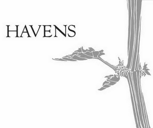 HAVENS logo