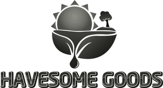 HAVESOME GOODS