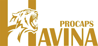 HAVINA PROCAPS logo