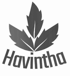 HAVINTHA logo