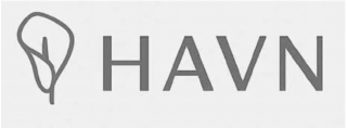 HAVN logo