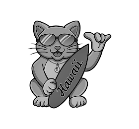 HAWAII logo
