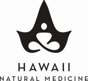 HAWAII NATURAL MEDICINE logo