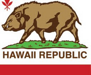 HAWAII REPUBLIC logo