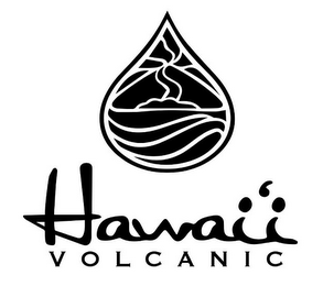 HAWAI'I VOLCANIC logo
