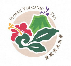 HAWAII VOLCANIC TEA logo
