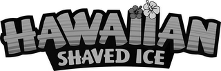 HAWAIIAN SHAVED ICE logo