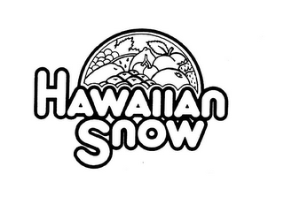 HAWAIIAN SNOW logo