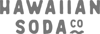 HAWAIIAN SODA CO logo