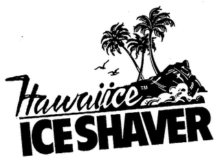 HAWAIICE ICESHAVER logo