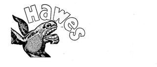 HAWES logo