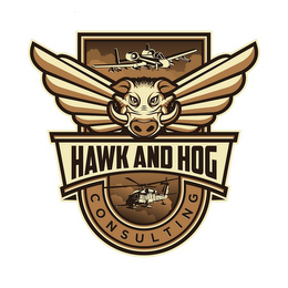 HAWK AND HOG CONSULTING logo