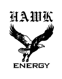 HAWK ENERGY logo