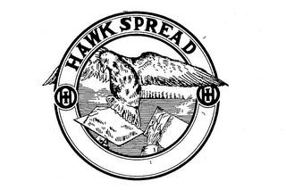 HAWK SPREAD logo