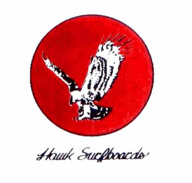 HAWK SURFBOARDS logo