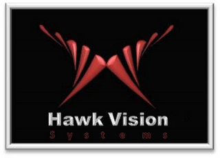 HAWK VISION S Y S T E M S logo