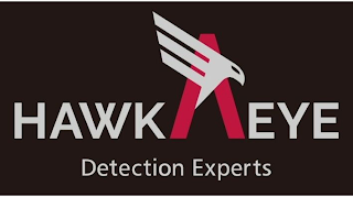 HAWKAEYE DETECTION EXPERTS logo