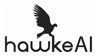 HAWKEAI logo