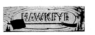 HAWKEYE logo
