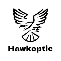 HAWKOPTIC logo