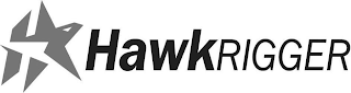 HAWKRIGGER logo