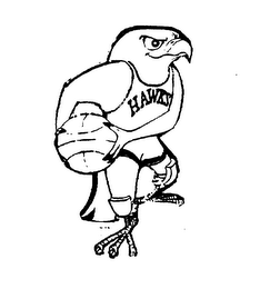 HAWKS logo