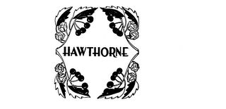 HAWTHORNE logo