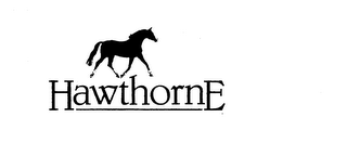 HAWTHORNE logo