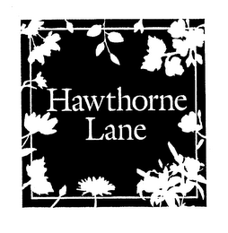 HAWTHORNE LANE logo