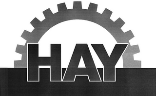 HAY logo