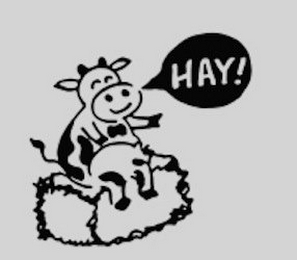 HAY! logo