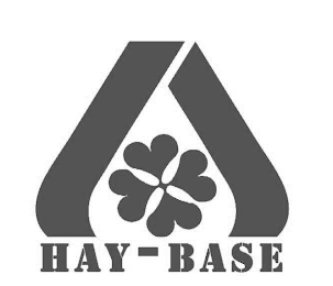HAY-BASE logo