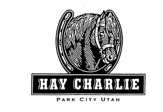 HAY CHARLIE PARK CITY UTAH logo