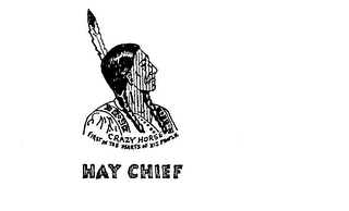HAY CHIEF CRAZY HORSE FIRST IN THE HEARTS OF HIS PEOPLE logo