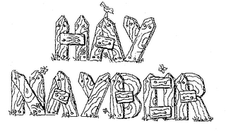 HAY NAYBOR logo