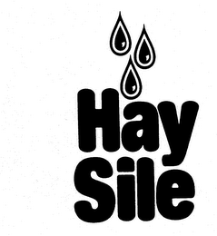 HAY SILE logo