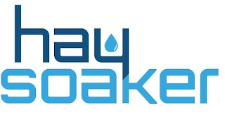 HAY SOAKER logo