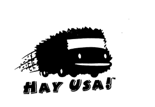 HAY USA! logo