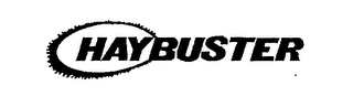 HAYBUSTER logo
