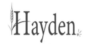 HAYDEN logo