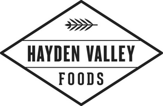 HAYDEN VALLEY FOODS logo