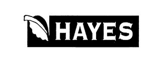 HAYES logo