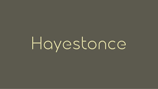 HAYESTONCE logo