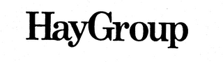 HAYGROUP logo
