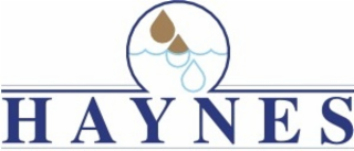 HAYNES logo
