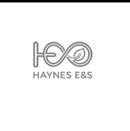HAYNES E&S logo